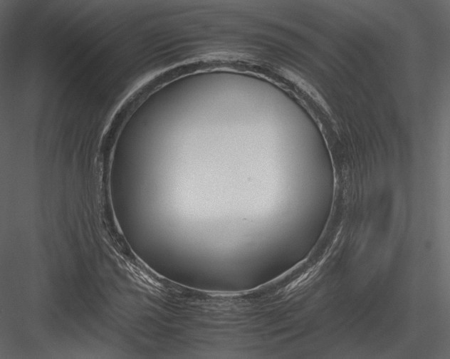 X0000082951021200702222307