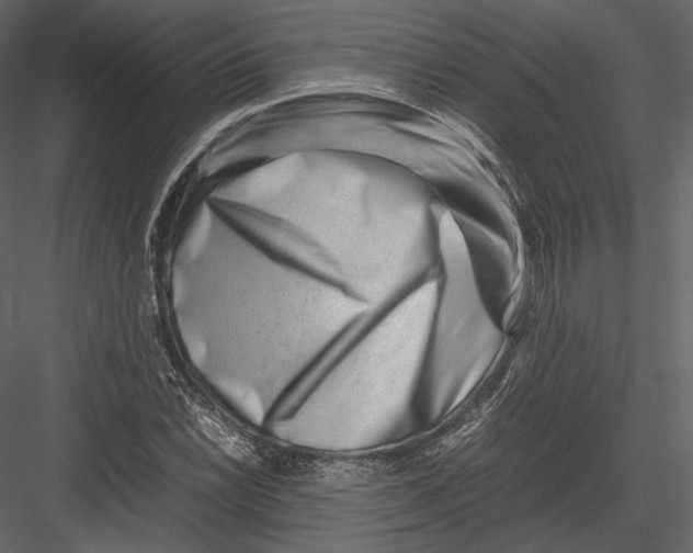 X0000082951022200702222307