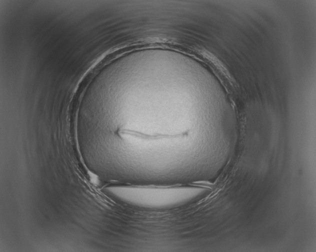 X0000082951023200702222307