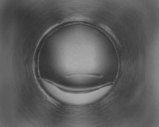 X0000082951024200702222307