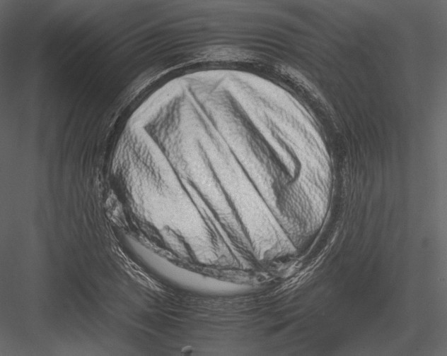 X0000082951025200702222307