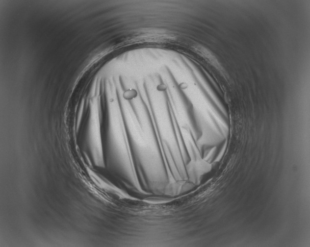 X0000082951026200702222308