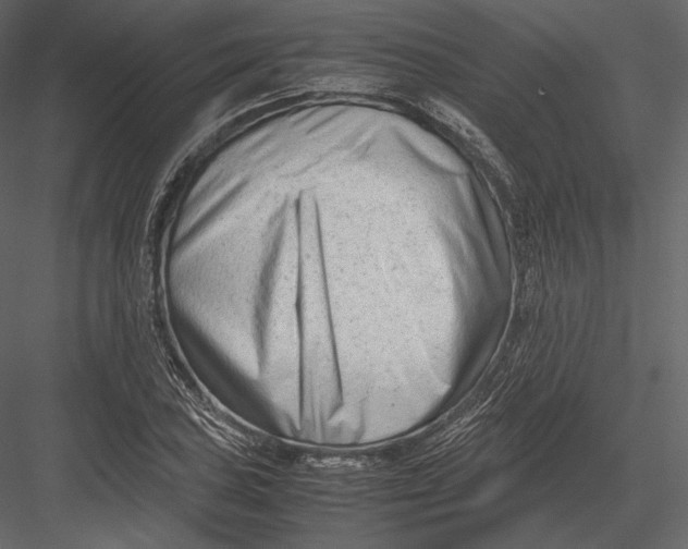 X0000082951027200702222308