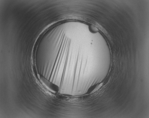 X0000082951028200702222308