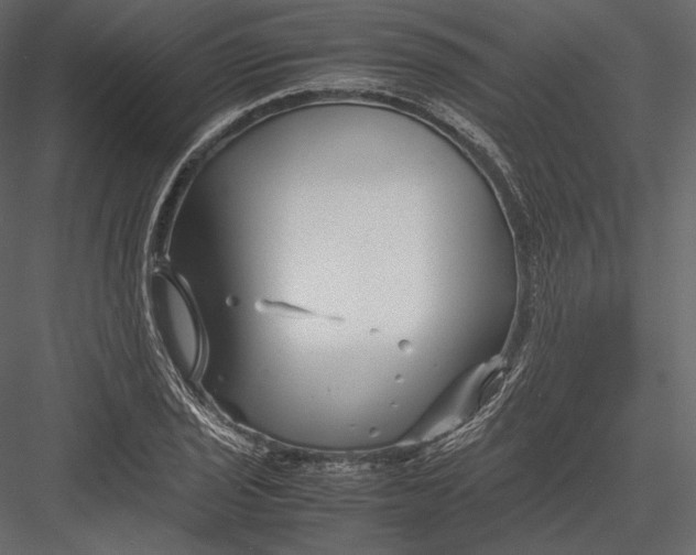 X0000082951029200702222308