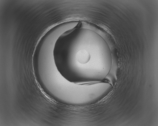 X0000082951030200702222308