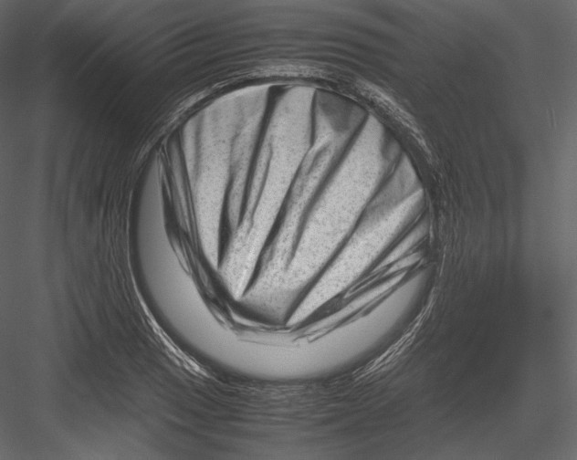 X0000082951033200702222308