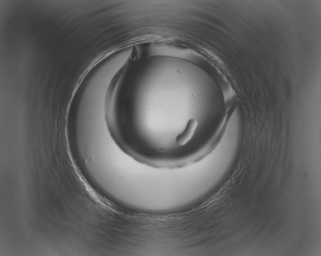 X0000082951034200702222308