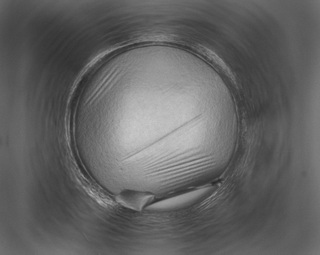 X0000082951035200702222308