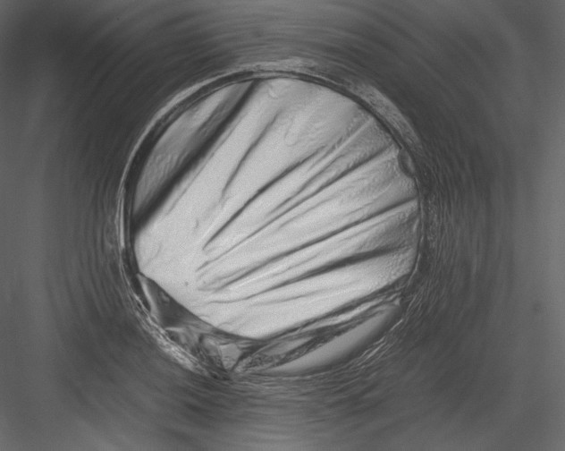 X0000082951036200702222308