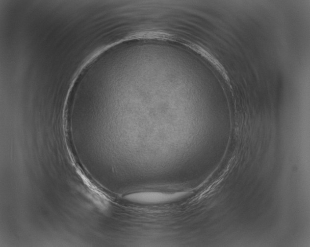 X0000082951037200702222308