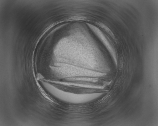 X0000082951039200702222308