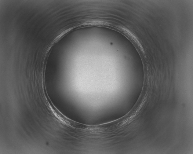 X0000082951041200702222308