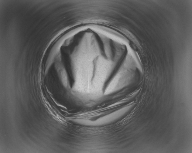 X0000082951044200702222308