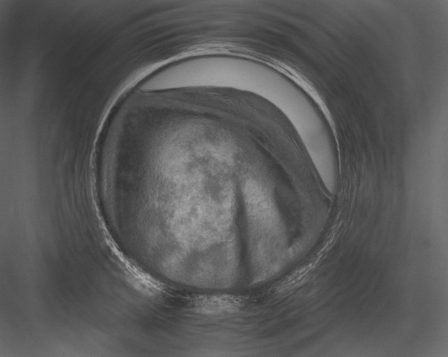 X0000082951045200702222308