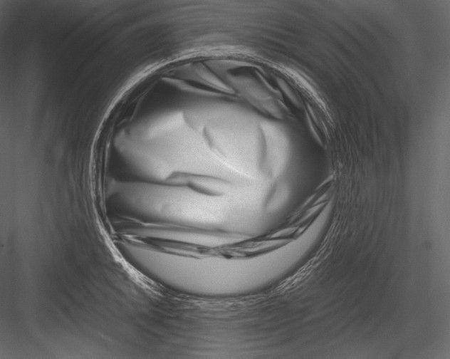 X0000082951046200702222308