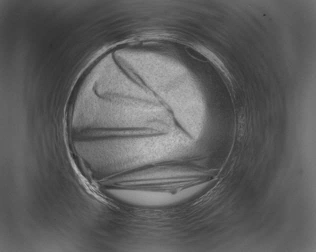 X0000082951047200702222308