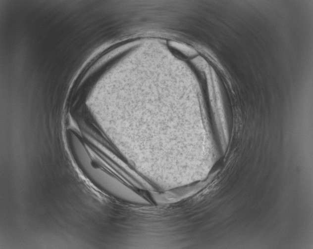 X0000082951048200702222308