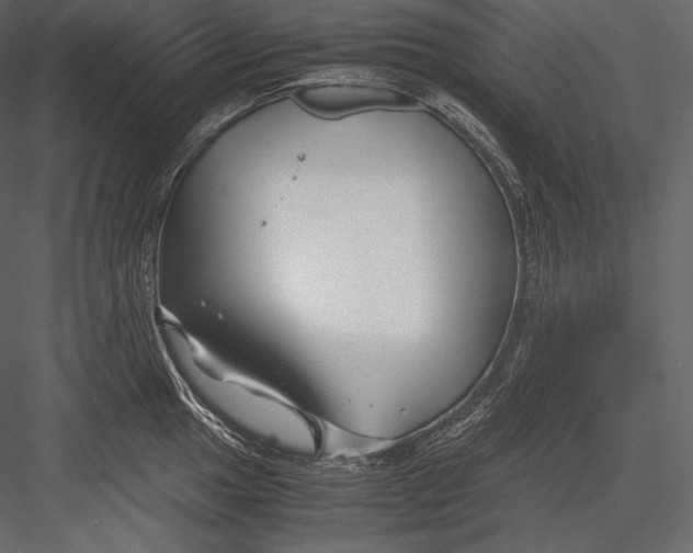 X0000082951049200702222308