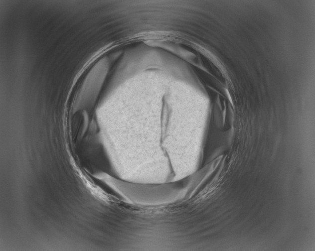 X0000082951050200702222308