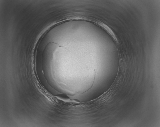 X0000082951051200702222308