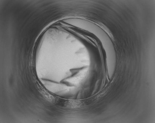 X0000082951052200702222308