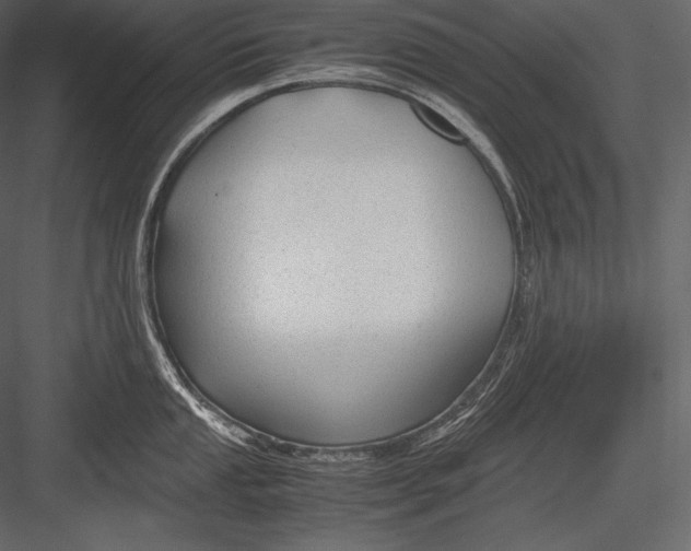 X0000082951053200702222308