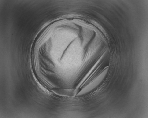 X0000082951055200702222308