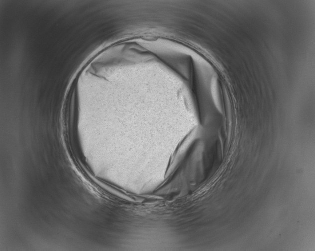 X0000082951056200702222308