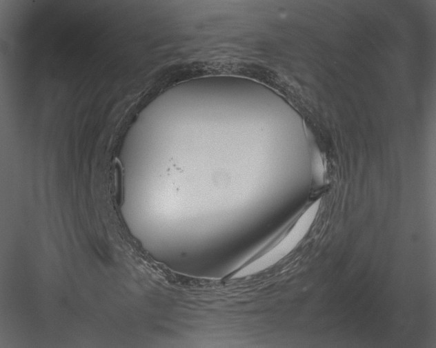 X0000082951057200702222307