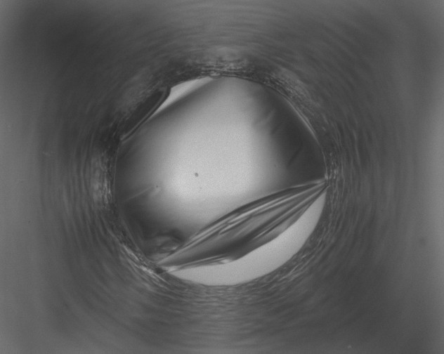 X0000082951058200702222307