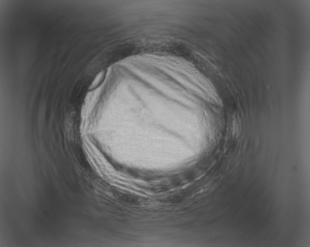 X0000082951059200702222307