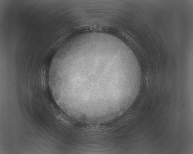 X0000082951060200702222307