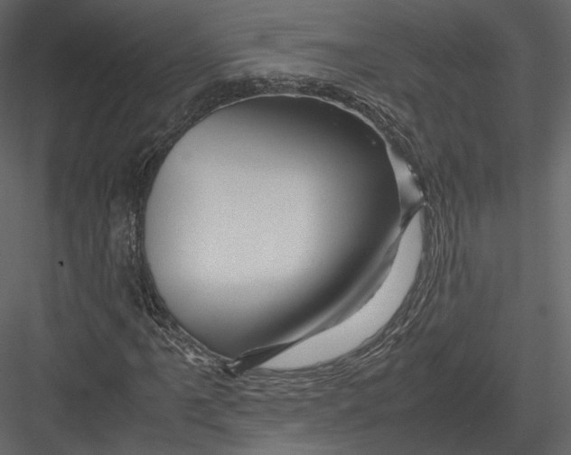 X0000082951061200702222307