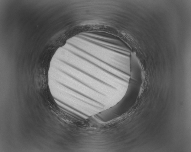 X0000082951062200702222307