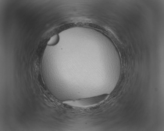 X0000082951063200702222307