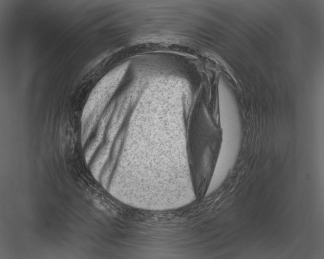 X0000082951064200702222307