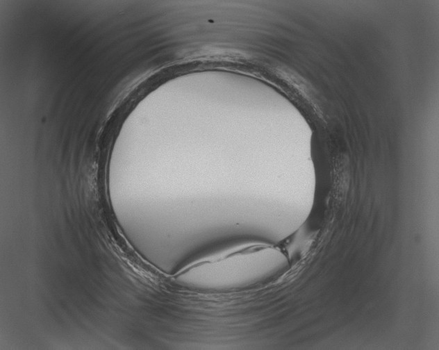 X0000082951066200702222307