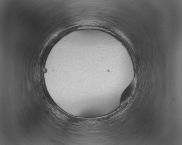 X0000082951067200702222307