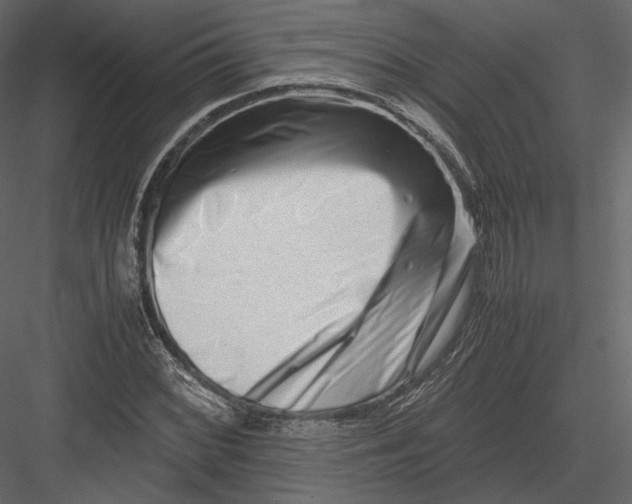 X0000082951068200702222307