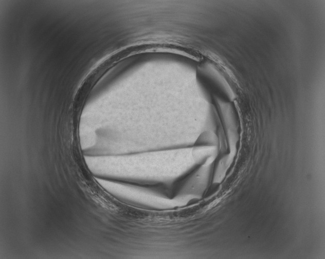 X0000082951069200702222307