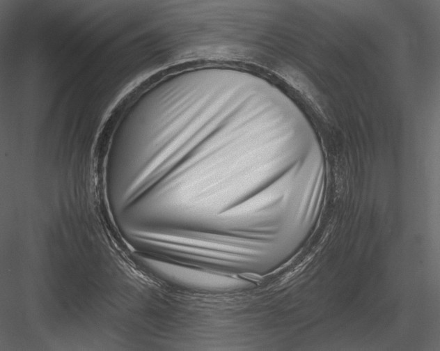 X0000082951070200702222307