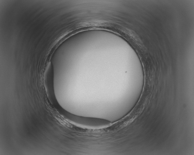 X0000082951073200702222307