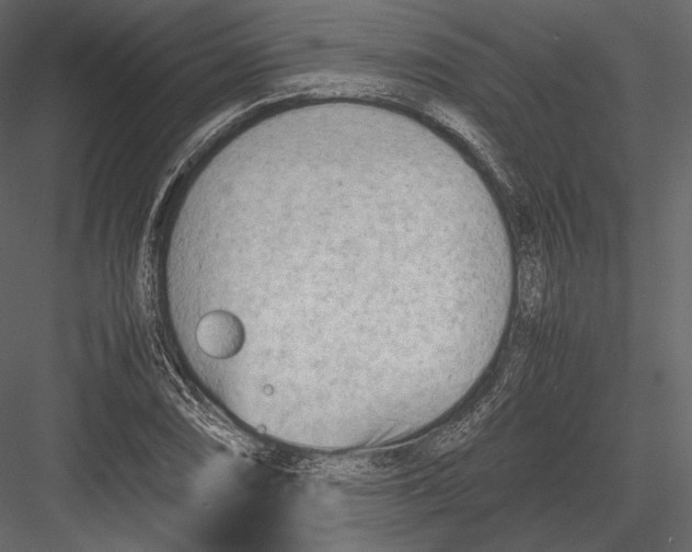 X0000082951074200702222307