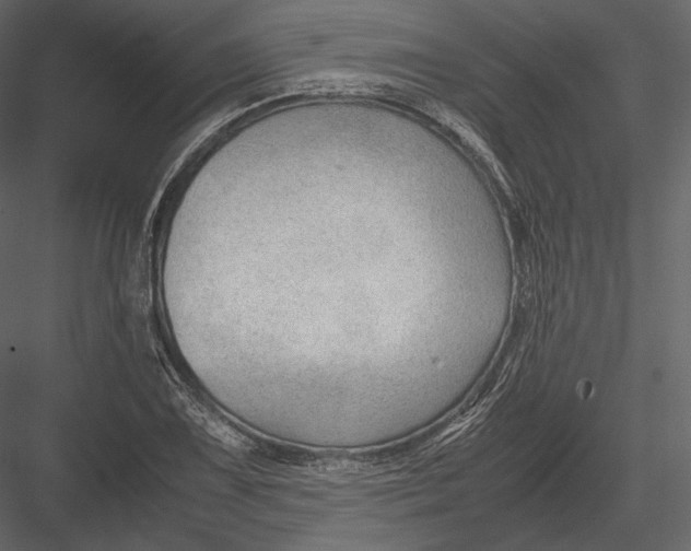 X0000082951075200702222307