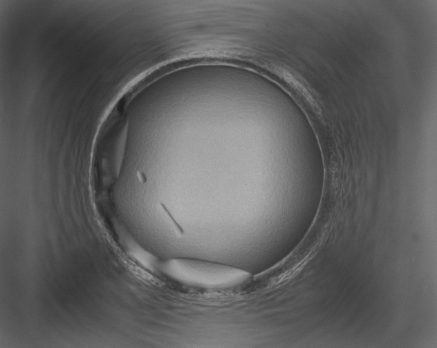 X0000082951077200702222307