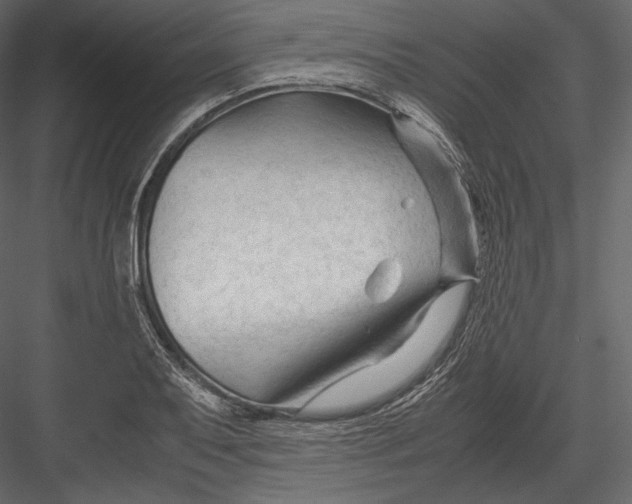 X0000082951079200702222307