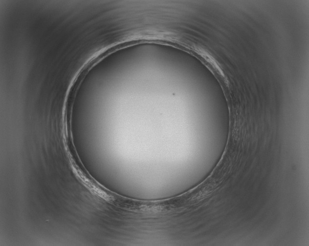 X0000082951080200702222307