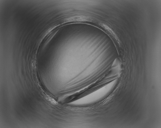 X0000082951081200702222307