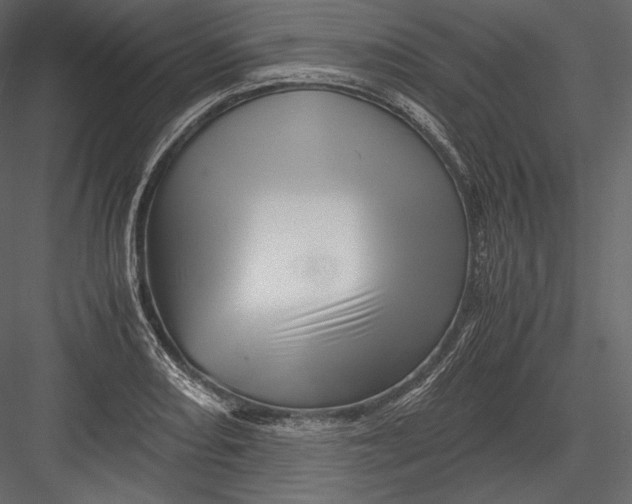 X0000082951082200702222307